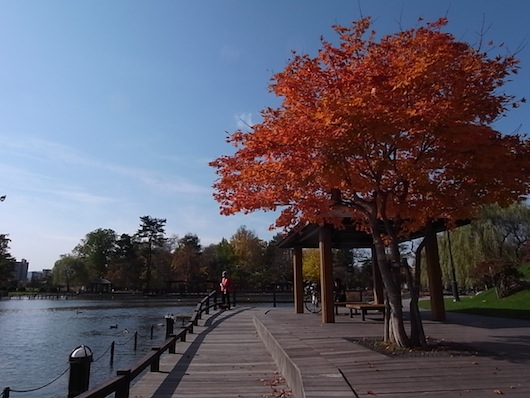 想旅行 旭川 芸術の秋 常磐公園