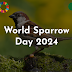 World Sparrow Day 2024