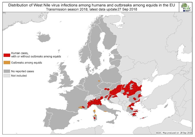 Vírus do Nilo Ocidental na Europa :  Atualização epidemiológica