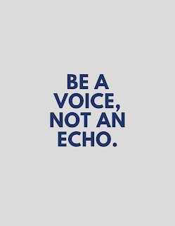 Be a voice, not an echo.