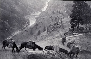 idaho salmon river canyon