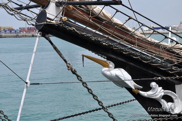 Regata Cadiz 2012