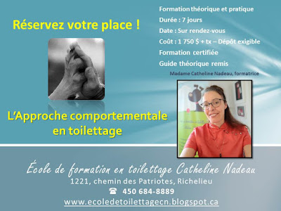 ecole formation toilettage grooming course school pet