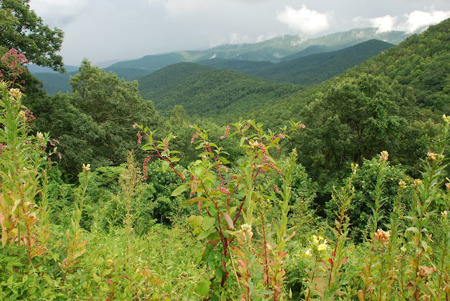 Blue Ridge Parkway