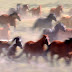 Equine Photography: The Majesty of Horses in Photographs