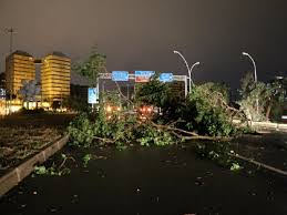 A força da natureza é incomensurável. o vento derrubou árvores nas ruas , avenidas e parques de Porto Alegre-RS, Brasil.