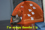 So I was able to create many Occupy LOL cats :) Here are a few more to cheer .