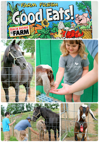 From feeding the animals to a lavender maze to a indoor carousel, families will love spending a day at Back Home On The Farm. #BlueRidgeBucket #Trekarooing