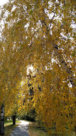 Осенние фото Омска