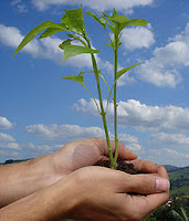 Responsabilidades de las industrias en el ambiente