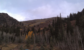 Lake Desolation Trail