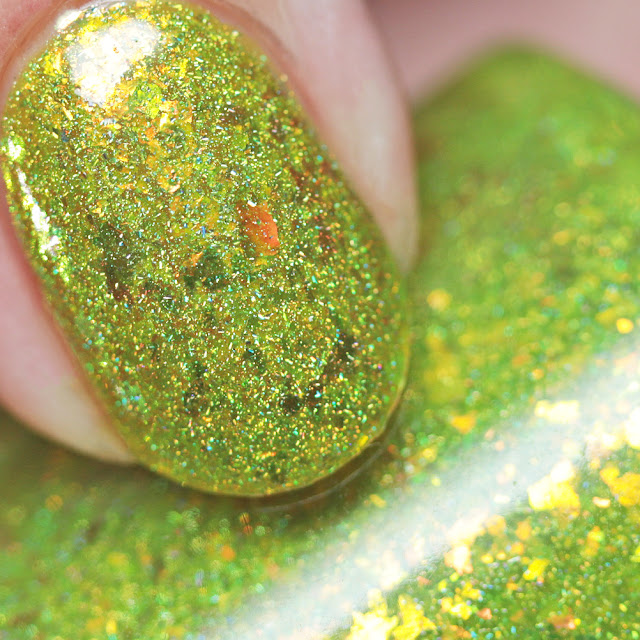 KBShimmer Something to Taco 'Bout