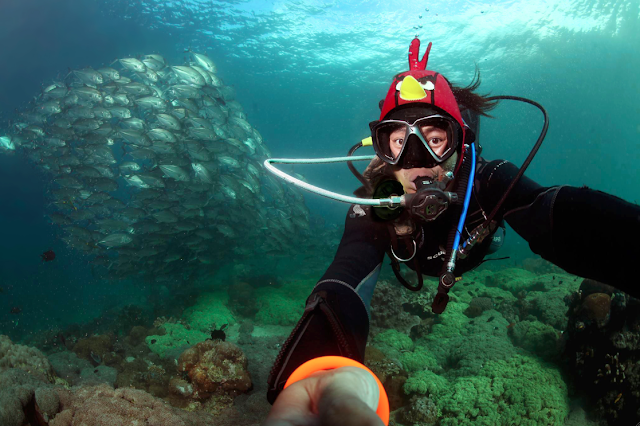 Jun V Lao, Photography, Underwater Photography, Scuba Diving