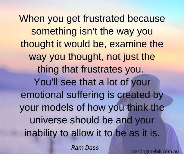 When you get frustrated because something isn't the way you thought, examine your thinking, not just the thing that frustrates you. Ram Dass