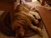 Best Friends