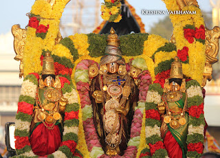 Thirumalai,Thirupati,  Tirumalai purappadu Sri Thiruvenkatamudaiyan Perumal, Malaiayappa swamy, Venkata Krishna , 2017, Video, Divya Prabhandam,Unjal,Utsavam,