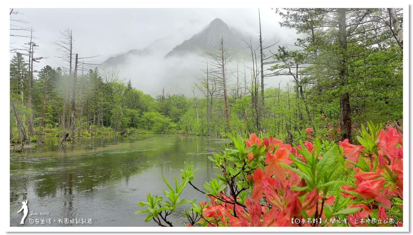 日本長野 上高地散策步道 浪漫雨中漫步 明神 及 岳澤濕原