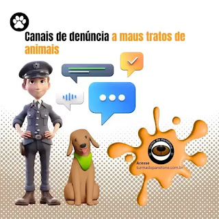 Canais de denúncia a maus tratos de animais