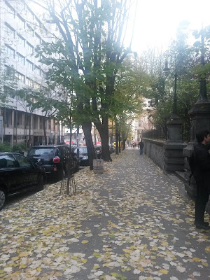 Belgrade streets