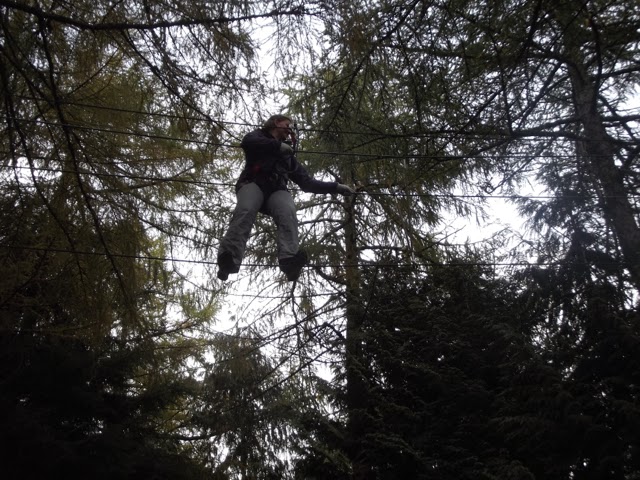 Go Ape Whinlatter wire