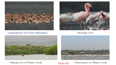 Thane Creek Maharashtra Facts in Brief