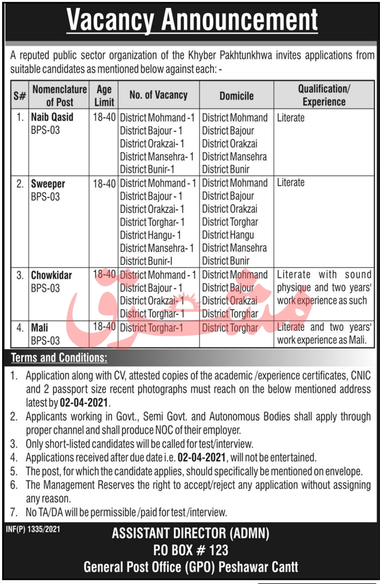 Latest Govt Jobs 2021 in Public Sector Organization PO Box 123 KPK Peshawar