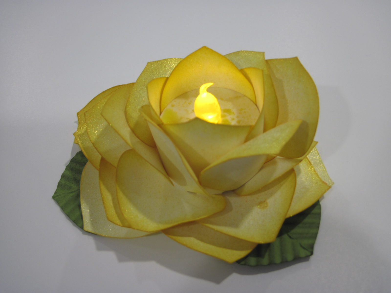 Candlelight Rose