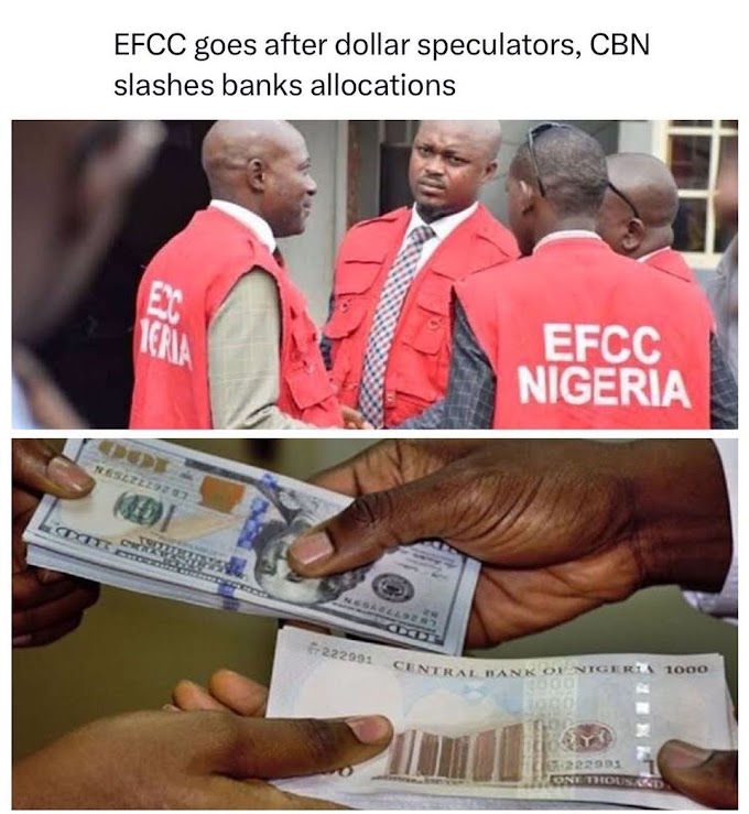 Deposit Money Banks are battling dollar shortage after the Central Bank of Nigeria slashed their foreign exchange allocations, The PUNCH has learnt.