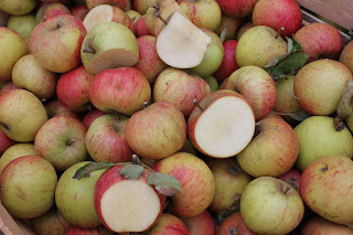 Brightwell cum Sotwell Apple Day apple tasting