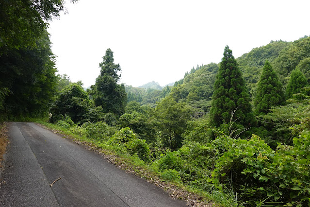 鳥取県西伯郡南部町東上　谷川沿いの農道