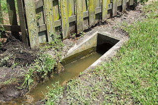 storm water drain in side yard