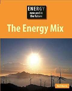 Energy Now and In the Future: The Energy Mix