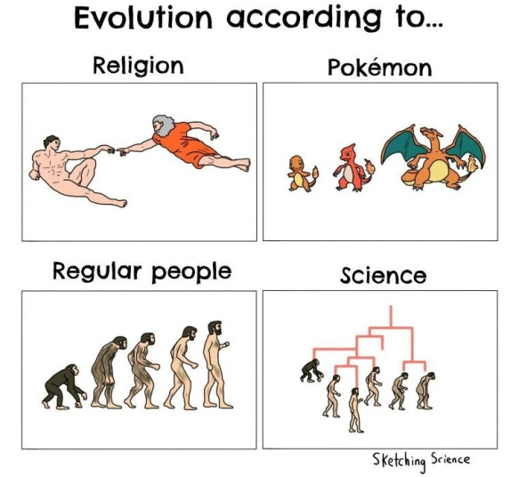 evolution