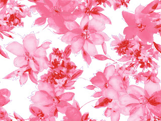 pink wallpaper web  Black Wallpaper With Pink Flowers