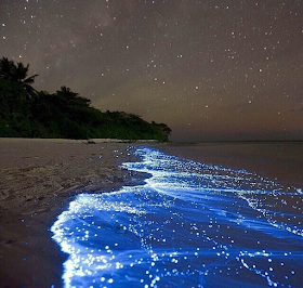 Playa color azul brillante - Islas Maldivas