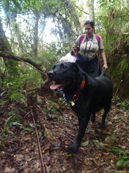 Trekking 5 (32)