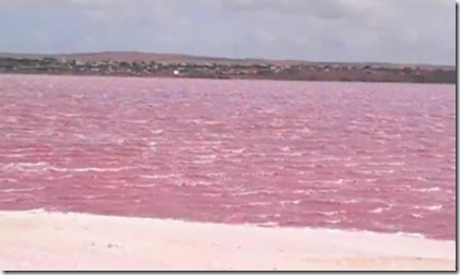 pinklake