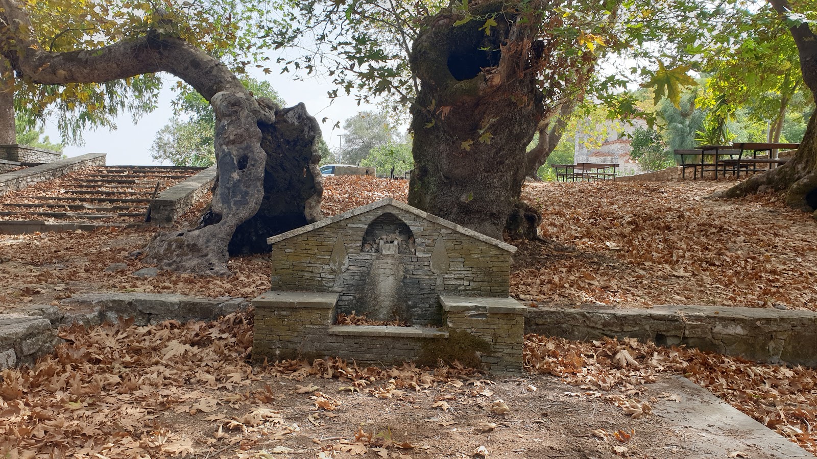 An old water fountain and some gnarly old trees