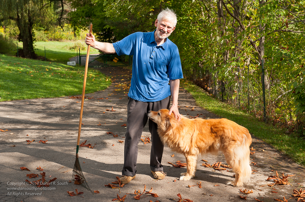a photo of my father raking leaves with his dog frankly by daniel south