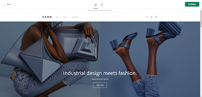 seo shopify expert