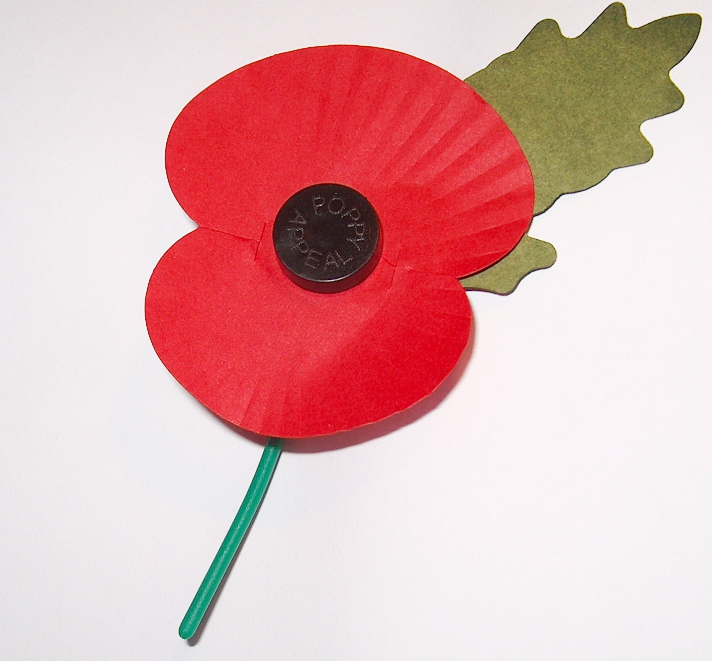 Poppy Flowers for Remember Someone