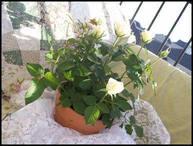 G W and tea pot 047