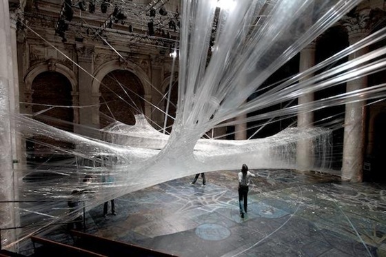 World's Largest Spider Web