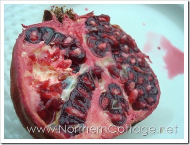 pomegranite@northerncottage.net