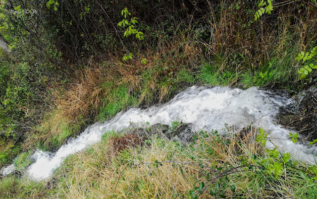 Acequia Alcázar, Ramar de los Caserones