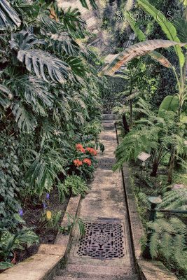 Real Jardín Botánico - Madrid