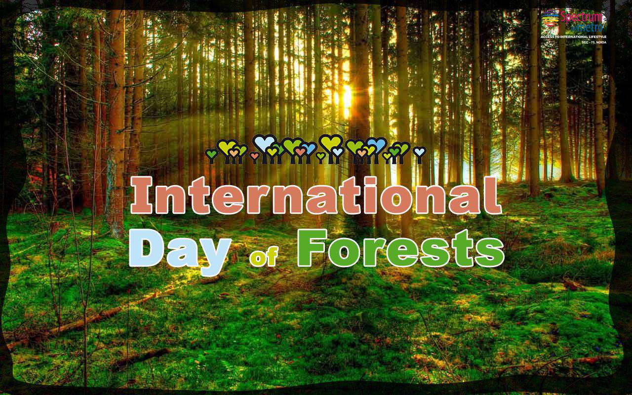 International Day of Forests Wishes Images download