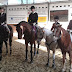 Vereinsmeister Reiten 2014