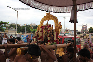 Sri Theliya Singar,Purattasi, second, sanivaram,Parthasarathy Perumal Temple,Purappadu,2016, Video, Divya Prabhandam,Sri Parthasarathy Perumal, Triplicane,Thiruvallikeni,Utsavam,
