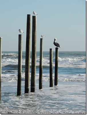 Florida 005